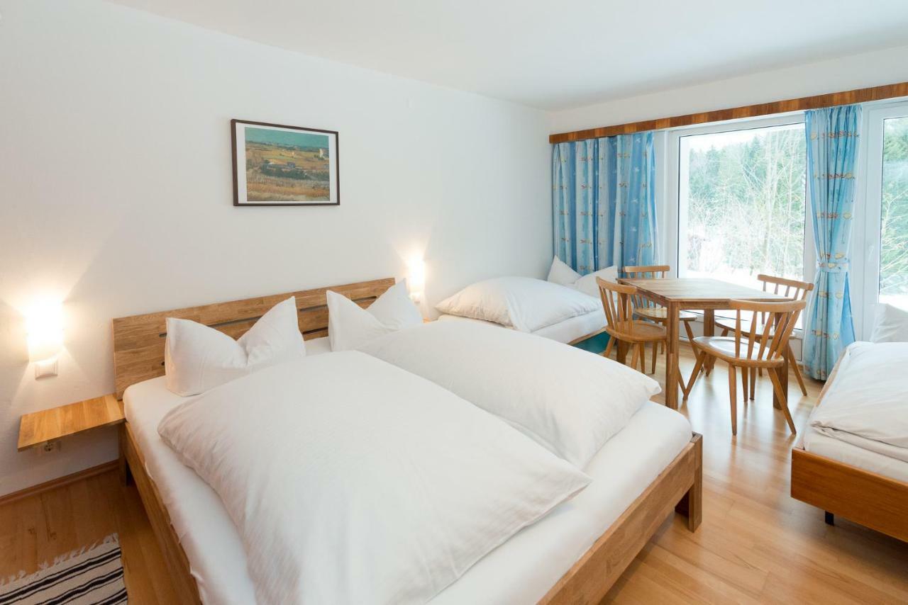 Appartement Birkenhof - Schimek à Bürserberg Extérieur photo